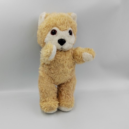 Ancienne peluche chat ours